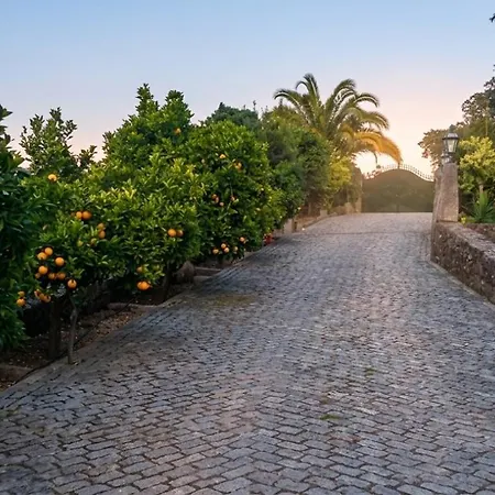 Quinta Do Ferrador 비아나도카스텔로